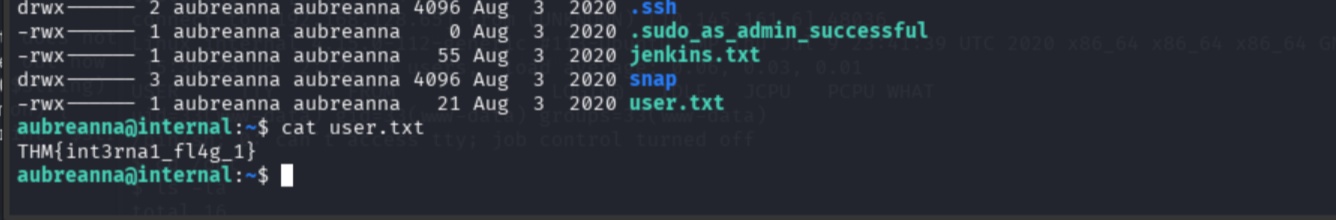 cat user.txt showing user flag THM{int3rna1_fl4g_1}